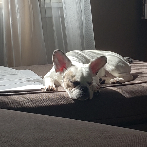 Quantity&Quality - Picture 7 of 8